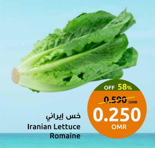 Lettuce from Iran available at Sultan Center  in Oman - Sohar
