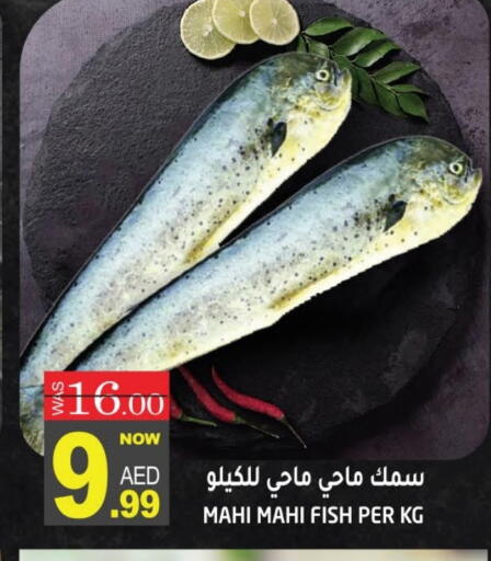 available at هاشم هايبرماركت in الإمارات العربية المتحدة , الامارات - الشارقة / عجمان