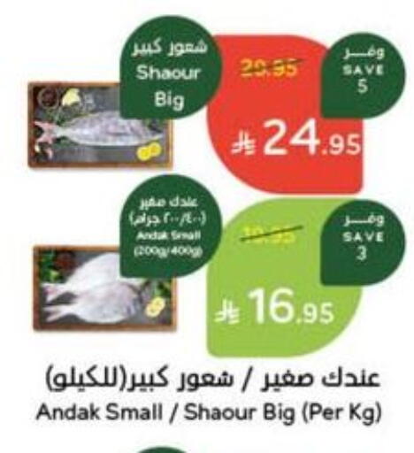available at Hyper Panda in KSA, Saudi Arabia, Saudi - Qatif