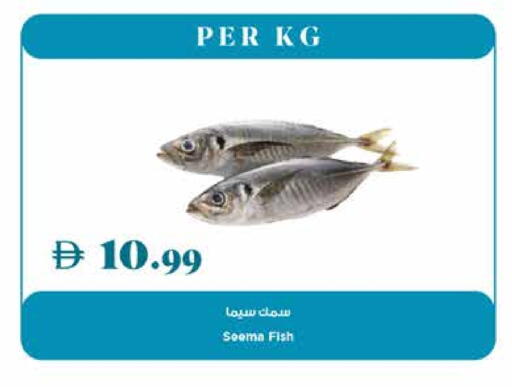 available at تروليز سوبرماركت in الإمارات العربية المتحدة , الامارات - الشارقة / عجمان