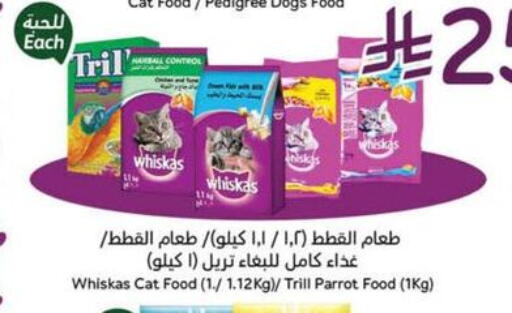 available at Hyper Panda in KSA, Saudi Arabia, Saudi - Wadi ad Dawasir
