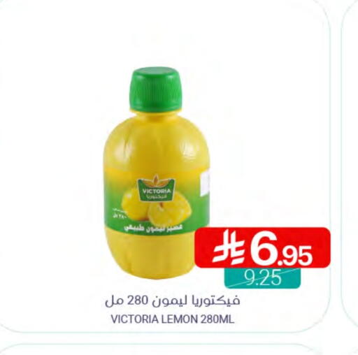 Lemon available at Muntazah Markets in KSA, Saudi Arabia, Saudi - Saihat