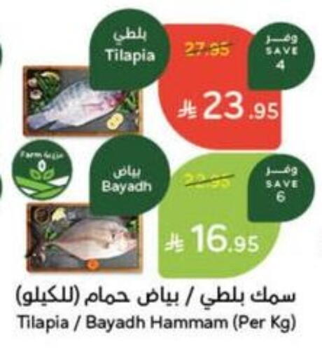 available at Hyper Panda in KSA, Saudi Arabia, Saudi - Qatif