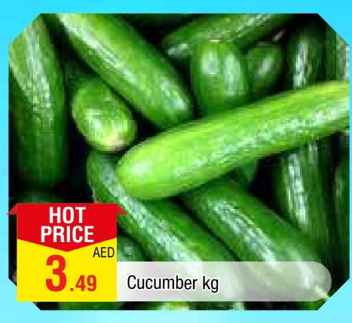 خيار available at المدينة in الإمارات العربية المتحدة , الامارات - الشارقة / عجمان