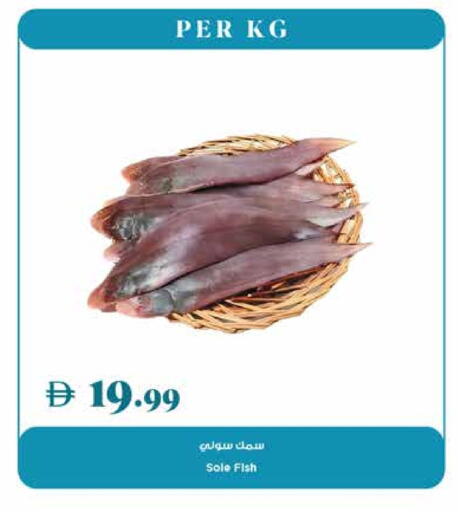 available at تروليز سوبرماركت in الإمارات العربية المتحدة , الامارات - الشارقة / عجمان