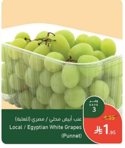 Grapes from Egypt available at Hyper Panda in KSA, Saudi Arabia, Saudi - Abha