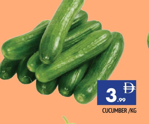 خيار available at المدينة in الإمارات العربية المتحدة , الامارات - الشارقة / عجمان