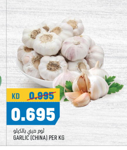 Garlic from China available at Oncost in Kuwait - Ahmadi Governorate