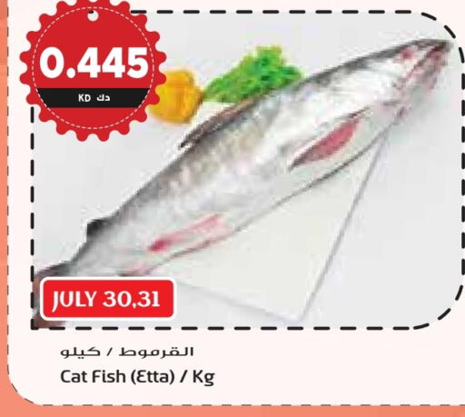 available at جراند هايبر in الكويت - محافظة الأحمدي
