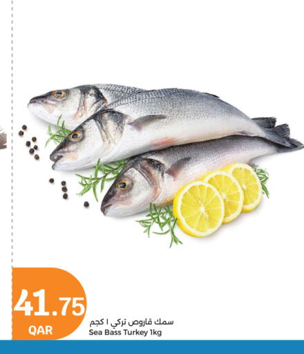 available at City Hypermarket in Qatar - Doha