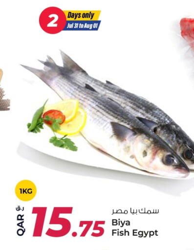 available at روابي هايبرماركت in قطر - أم صلال