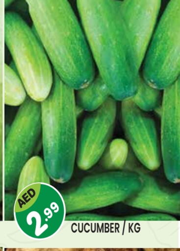 خيار available at سنابل بني ياس in الإمارات العربية المتحدة , الامارات - الشارقة / عجمان