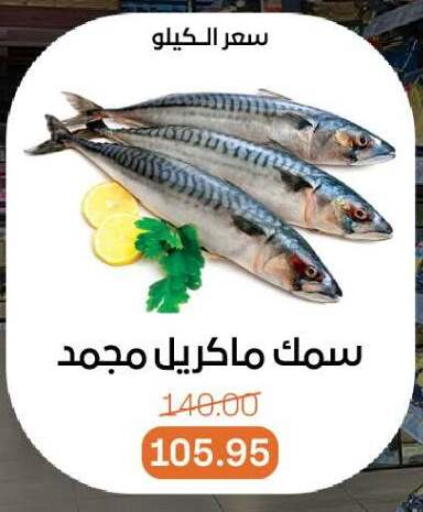 available at Beit El Gomla in Egypt - Cairo