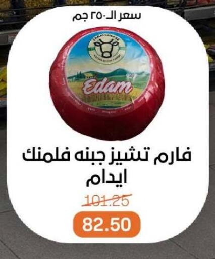 Edam available at Beit El Gomla in Egypt - Cairo