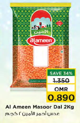 AL AMEEN available at Nesto Hyper Market   in Oman - Sohar