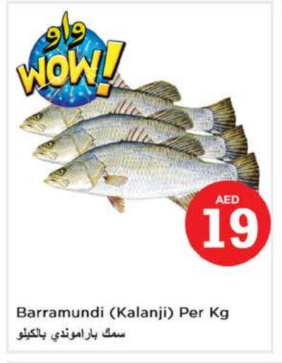 available at Nesto Hypermarket in UAE - Fujairah