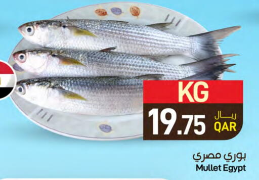 available at ســبــار in قطر - الدوحة