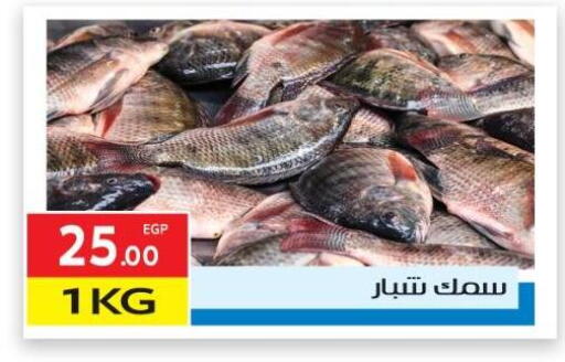 available at El Mahallawy Market  in Egypt - Cairo