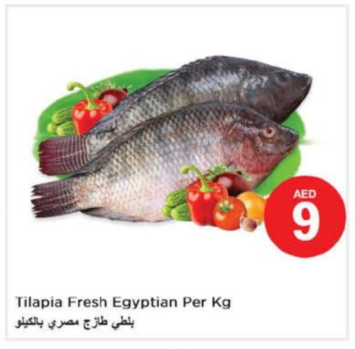 available at Nesto Hypermarket in UAE - Fujairah