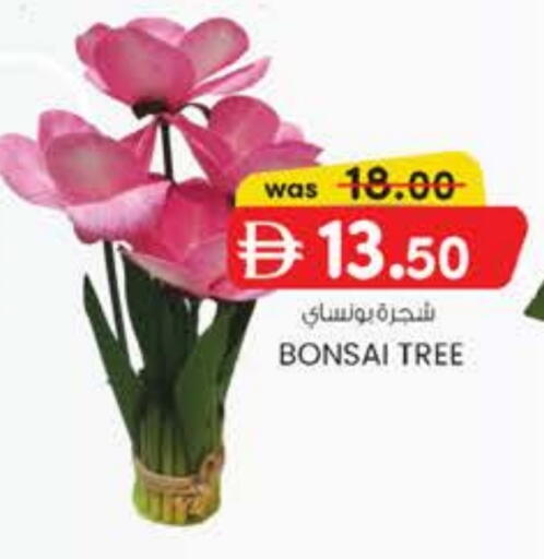 available at Safa Express Supermarket in UAE - Abu Dhabi