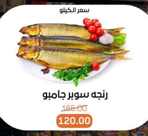 available at Beit El Gomla in Egypt - Cairo
