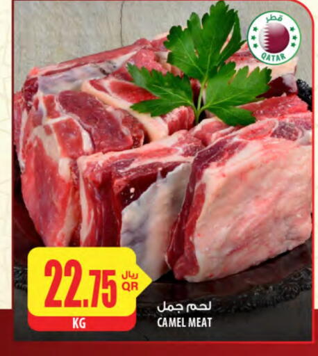 لحم حاشي available at شركة الميرة للمواد الاستهلاكية in قطر - أم صلال