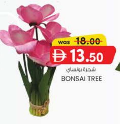 available at K M Trading  in UAE - Abu Dhabi