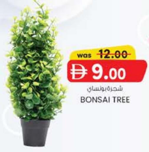 available at K M Trading  in UAE - Abu Dhabi
