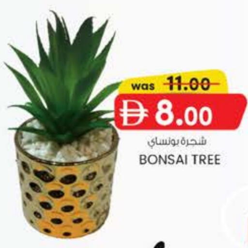 available at K M Trading  in UAE - Abu Dhabi