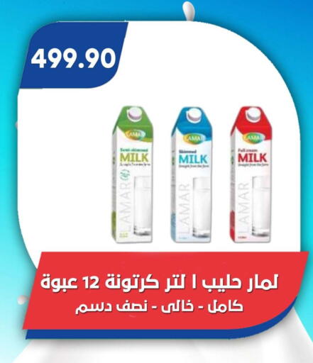 available at باسم ماركت in Egypt - القاهرة