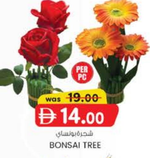 available at Safa Express Supermarket in UAE - Abu Dhabi