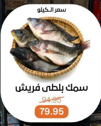 available at Beit El Gomla in Egypt - Cairo