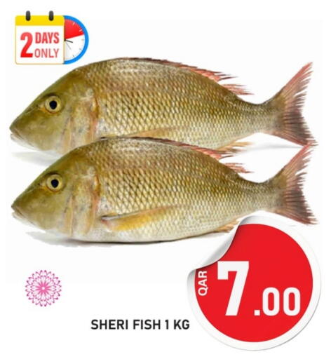available at باشن هايبر ماركت in قطر - أم صلال