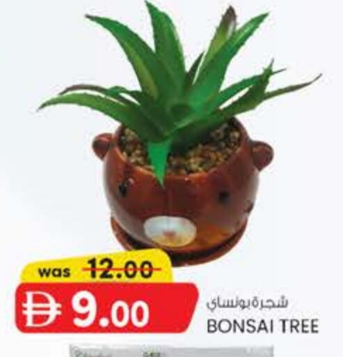 available at Safa Express Supermarket in UAE - Abu Dhabi
