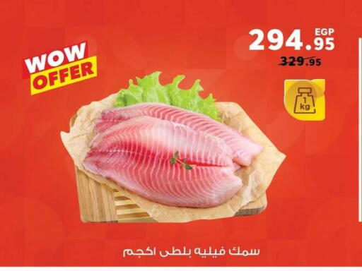 available at Panda  in Egypt - Cairo