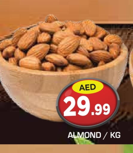 available at سنابل بني ياس in الإمارات العربية المتحدة , الامارات - أبو ظبي