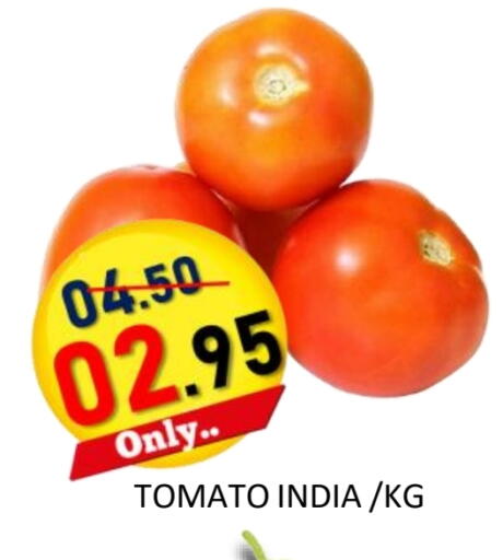 Tomato from India available at ROYAL GULF HYPERMARKET LLC in UAE - Abu Dhabi
