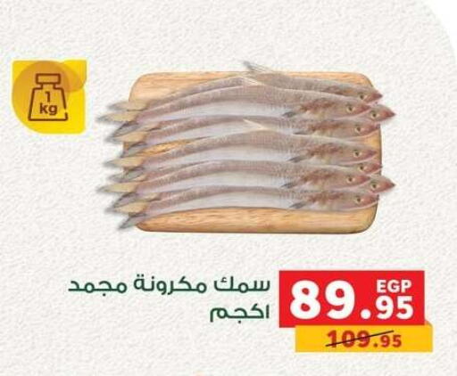 available at Panda  in Egypt - Cairo