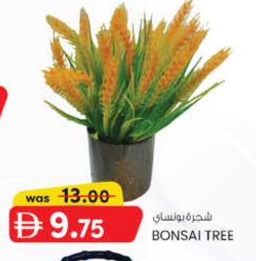 available at K M Trading  in UAE - Abu Dhabi