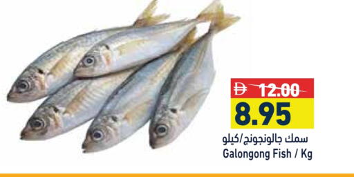 available at أسواق رامز in الإمارات العربية المتحدة , الامارات - الشارقة / عجمان