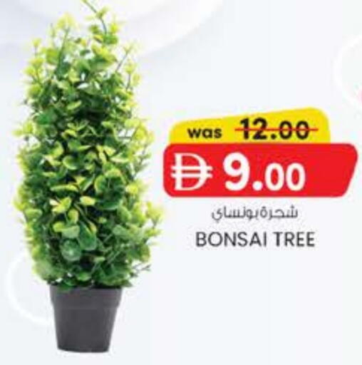 available at Safa Express Supermarket in UAE - Abu Dhabi