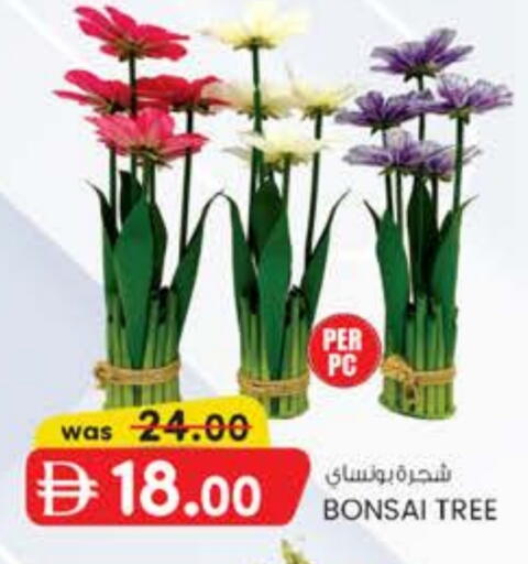 available at K M Trading  in UAE - Abu Dhabi