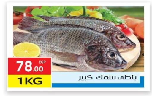 available at El Mahallawy Market  in Egypt - Cairo
