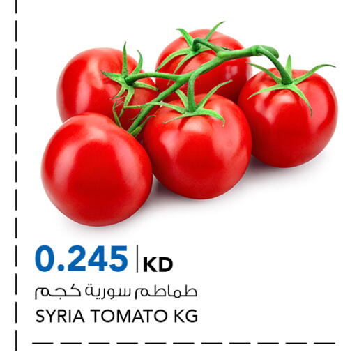 Tomato from Syria available at  ALNASSER HYPERMARKET in Kuwait - Ahmadi Governorate
