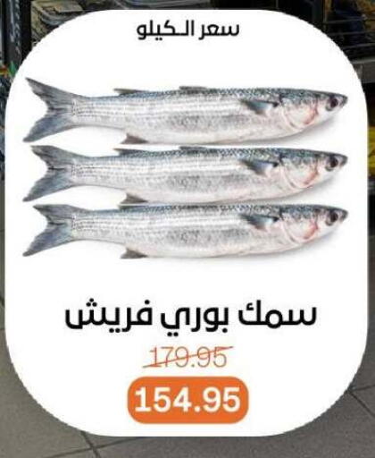 available at Beit El Gomla in Egypt - Cairo
