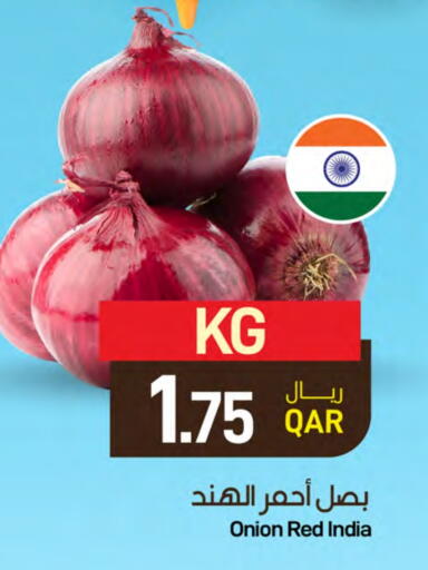 بصل from India available at ســبــار in قطر - الوكرة