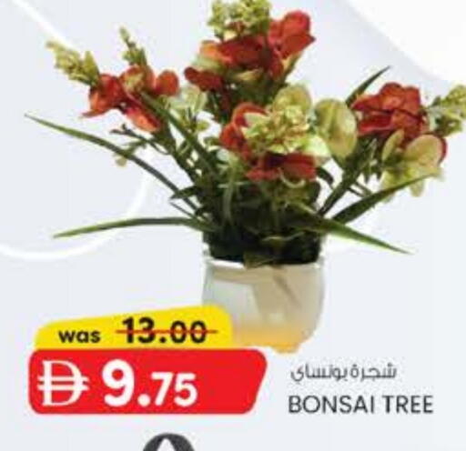 available at K M Trading  in UAE - Abu Dhabi