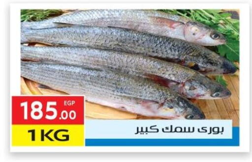 available at El Mahallawy Market  in Egypt - Cairo