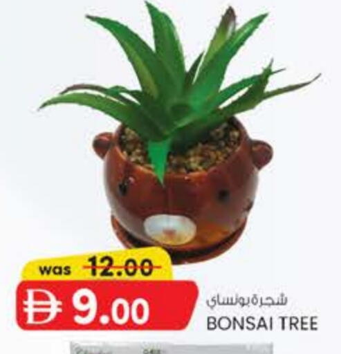 available at K M Trading  in UAE - Abu Dhabi