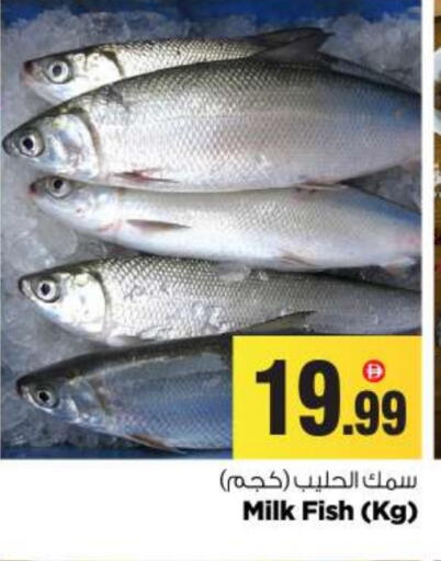 available at بيج مارت in الإمارات العربية المتحدة , الامارات - أبو ظبي